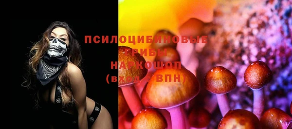 индика Киренск