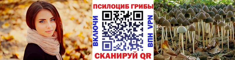 Галлюциногенные грибы прущие грибы  цена наркотик  Ярцево 